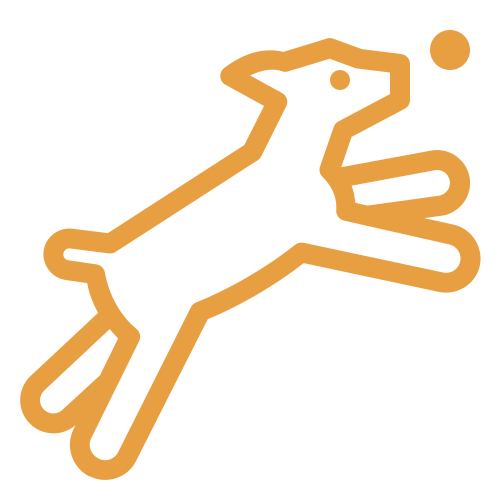 80